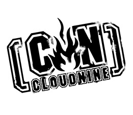 未開封　Cloud Nine クラウドナイン TAIJI   X JAPAN Cloud Nine - Bastard - YouTube